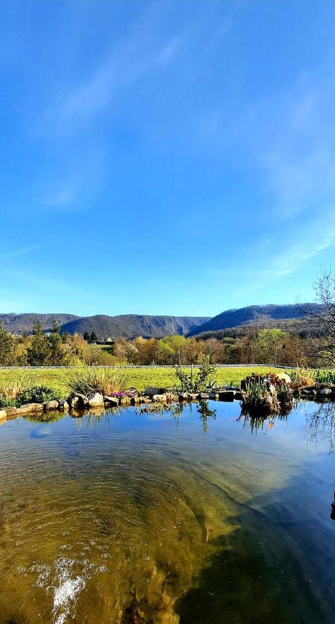 Bergblick Apartman Thale Kültér fotó